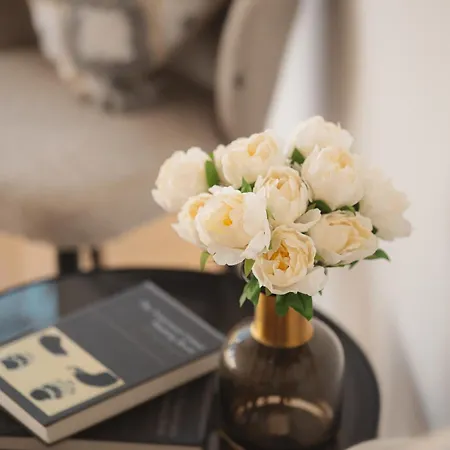 Apartment 400 Sqm Luxury Centre Brussels