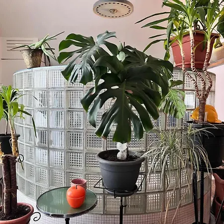 Loft Atelier Au Style Vintage Brüsszel