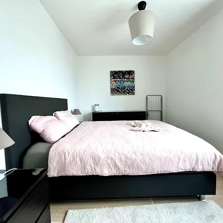 Elegant 2pcs Proche * בריסל