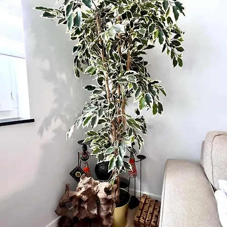 Midi Station - 6 Pers Comfort Apartment *