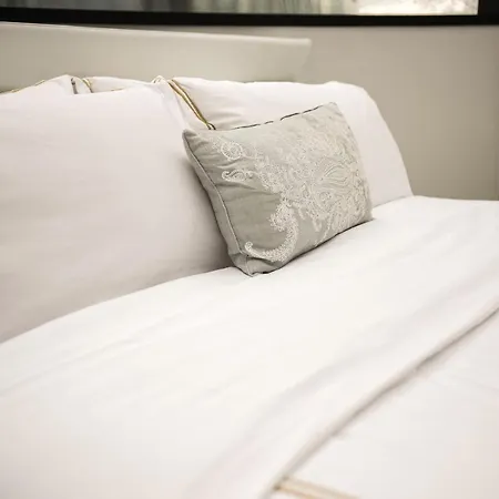 Triplex Penthouse In Centre شقة بروكسل