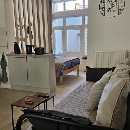 Proche Du Centre De Bruxelles, Atomium,tour&taxi,ing Arena Διαμέρισμα