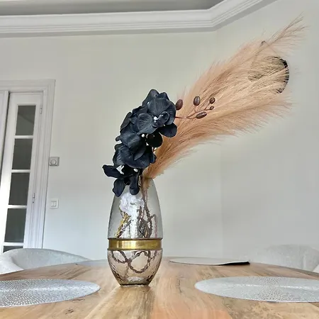 Apartment Grand Luxueux