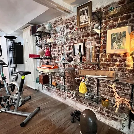 Le Loft Des Artistes Appartement