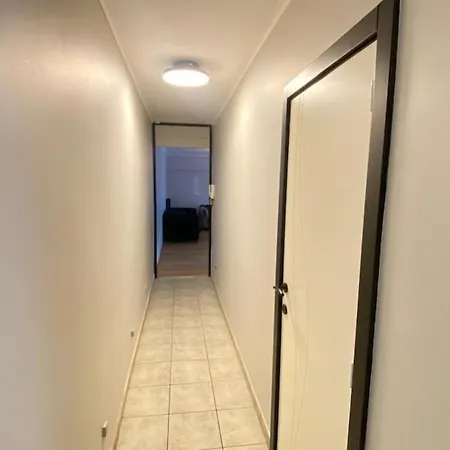Strelitzyahouse Брюссель