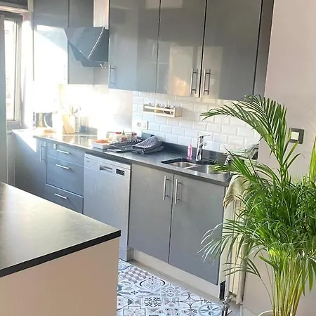 Strelitzyahouse Bruselas