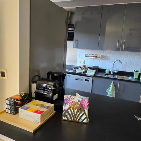 Strelitzyahouse Apartamento Bruselas