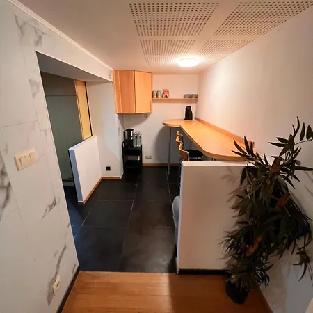 Séjour chez l'habitant Doppelzimmer Im Herzen Bruessels *