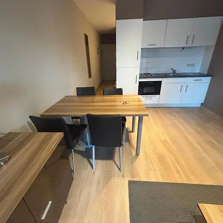 Botanical Garden Rogier * Bruxelles