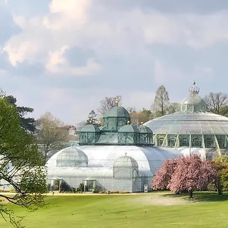 Lejlighed Arm Bruxelles