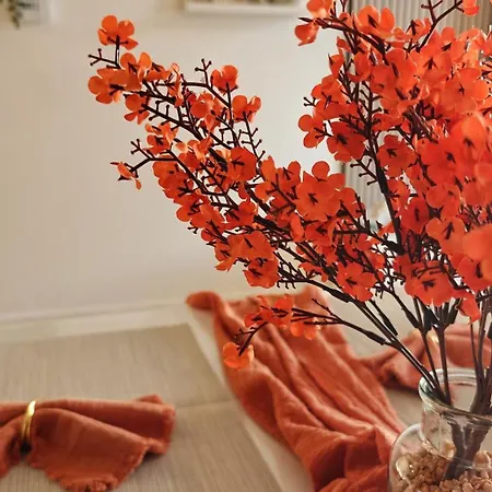 Highgarden - Warm & Cozy Brussels