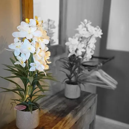 Appartement Cosy Jacqmain