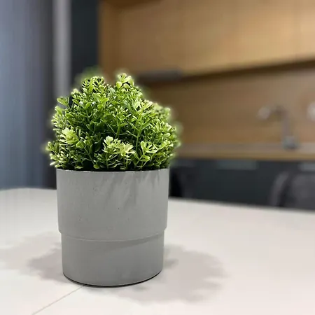 Апартаменты Merjay Garden