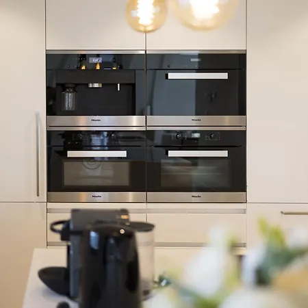 Triplex Penthouse In Centre شقة *
