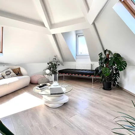 Modern Loft Near Eu Institutions Brussels