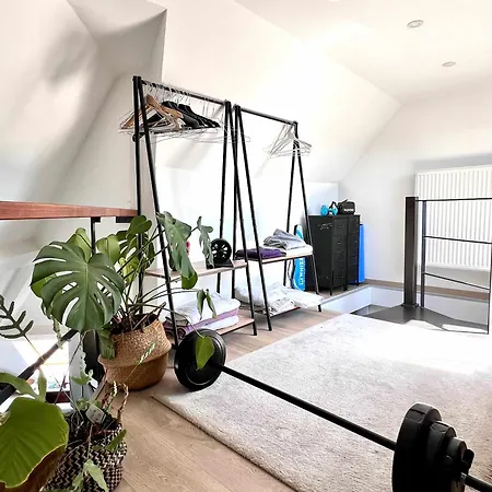 Modern Loft Near Eu Institutions 布鲁塞尔