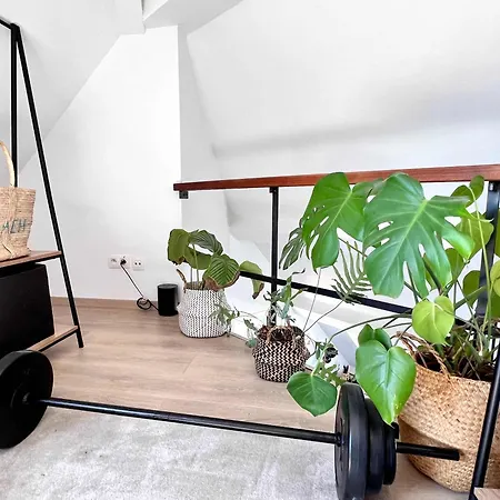 Modern Loft Near Eu Institutions 公寓 *