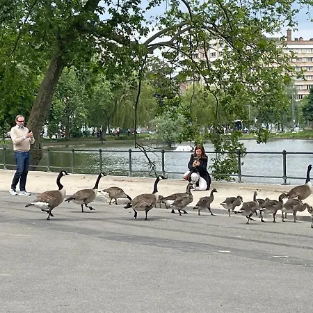 Le Flagey Place Lägenhet *