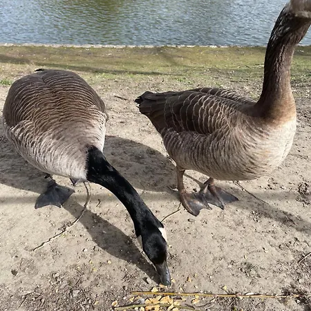 Le Flagey Place Apartament *
