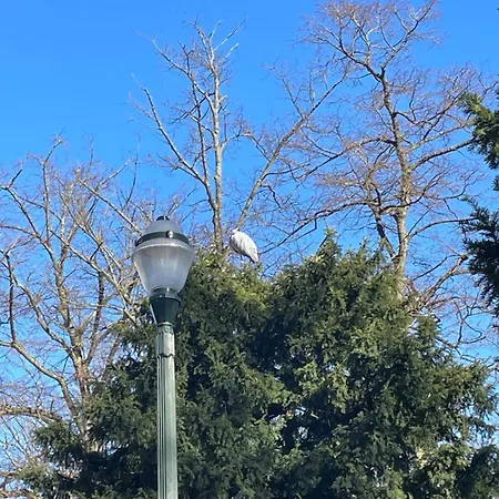 Le Flagey Place Bryssel