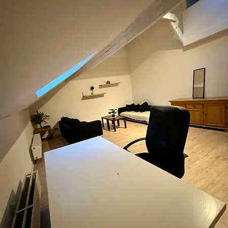 Spacieux Flat- Quartier Louise *