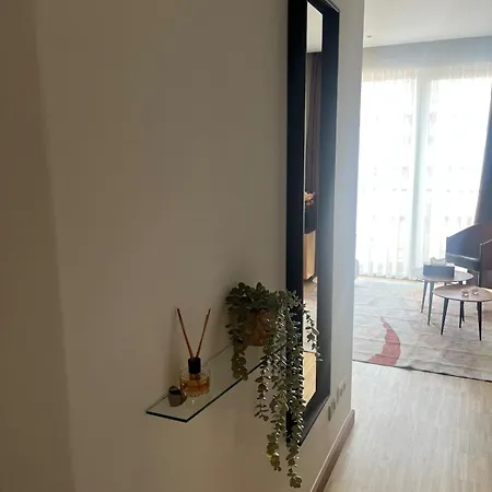 Cozy And Modern * Brüksel