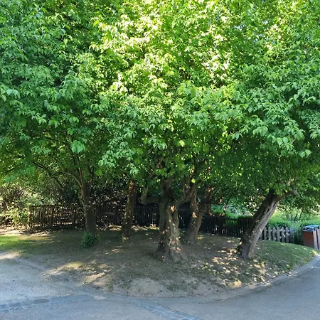 Chinese Pavilion Park - Magnificent Bruxelles