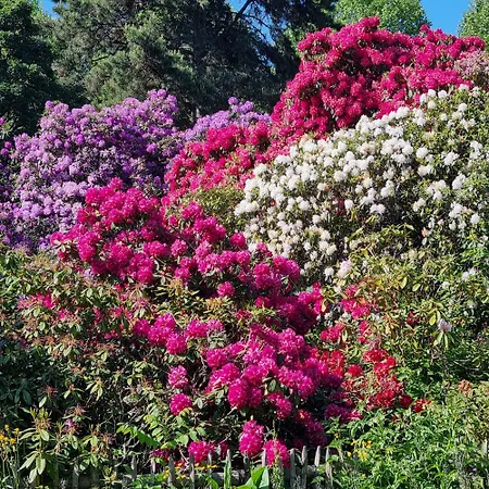 Chinese Pavilion Park - Magnificent Apartamento