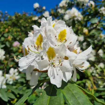 Apartamento Chinese Pavilion Park - Magnificent