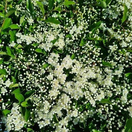 Apartamento Chinese Pavilion Park - Magnificent