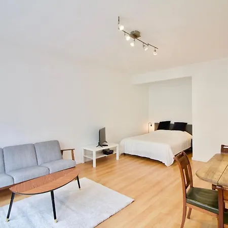 Apartament Very & Large Studio-plasky Bruksela