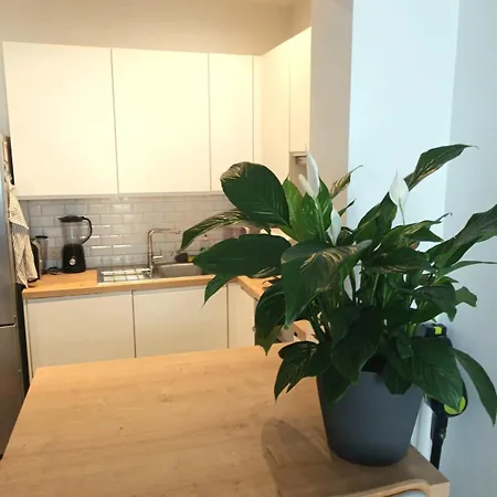 Apartament Beautiful 2 Bedroom In Place Flagey Bxl Bruksela