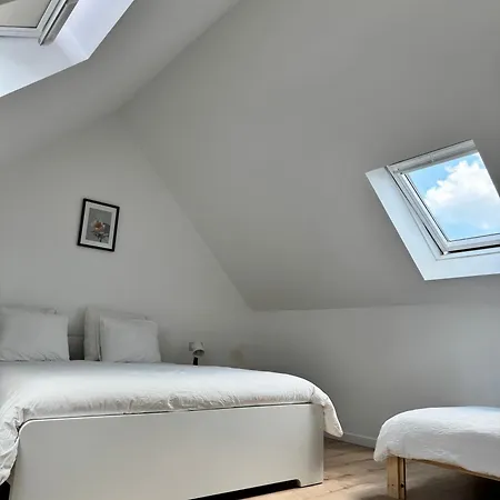 Loft Luna Midi