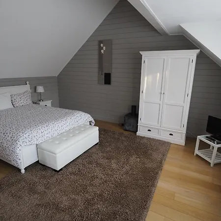 Appartement House In The City Brussel