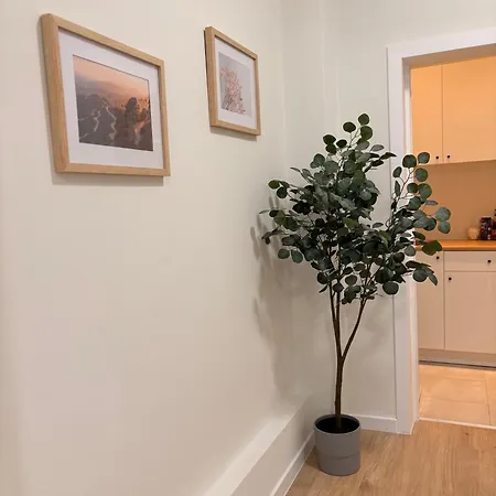 Fully Renovated Near Centre & Midi Brussels