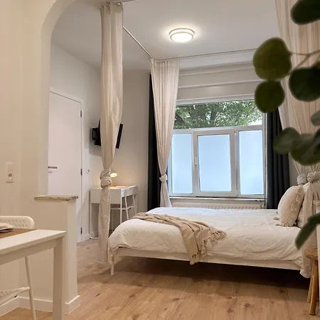 Apartment Fully Renovated Near Centre & Midi
