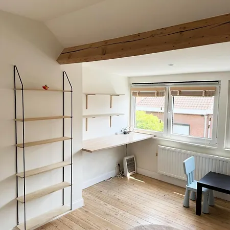 Spacious Duplex For Rent, Evere, *