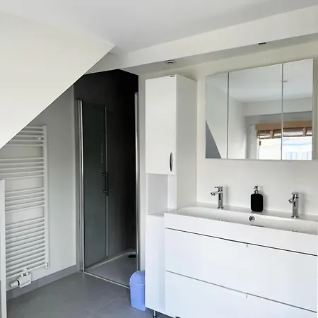 Spacious Duplex For Rent, Evere, *