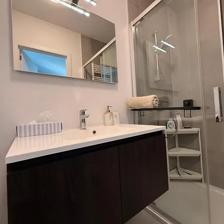 Lumineux Avec Balcon Bruxelles