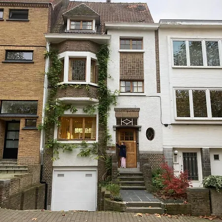 Calm, & Birdsong Near The Center Bruxelles