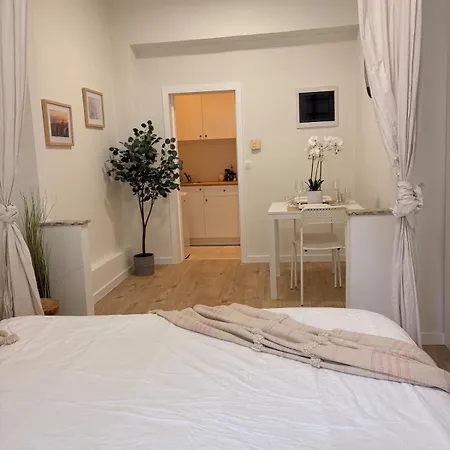 Apartment Comfortable 10 Min From Midi Station And 15 Min From Center Brussels