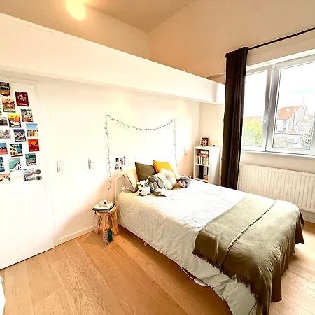 Ulb & Cambre Cosy Duplex * Brussels