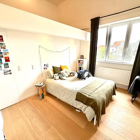 Ulb & Cambre Cosy Duplex * 布鲁塞尔