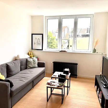 Homestay Ulb & Cambre Cosy Duplex Brussels