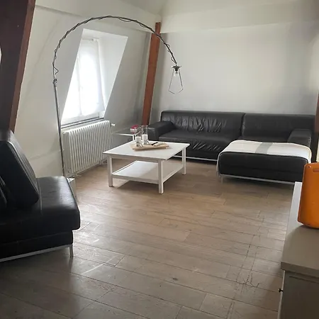 Duplex Centre Bruxelle 布鲁塞尔