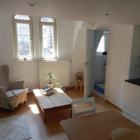 Maison Du Cinquantenaire - The Jubilee Loft *