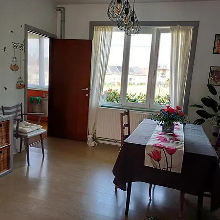 Apartamento With Terrace In Berchem-sainte-agathe