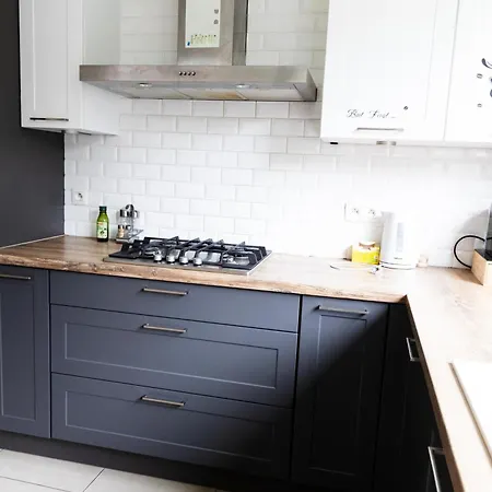 Avec Terrasse Privee Et Garage Rez De Chaussee Lumineux Brussels