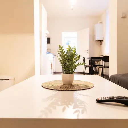 Sous Toit Lumineux Avec Garage Et 4 Pieces En Enfilade Bruxelas