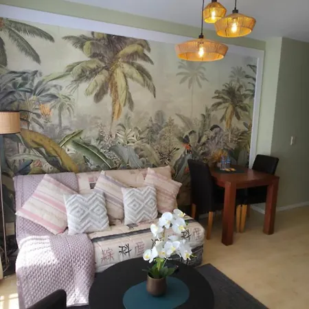 Cosy بروكسل